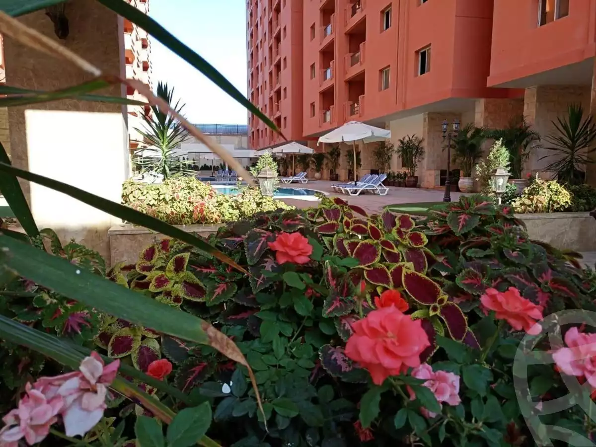 https://aqarmap.com.eg/en/listing/5455621-for-sale-cairo-nasr-city-makram-ebeid