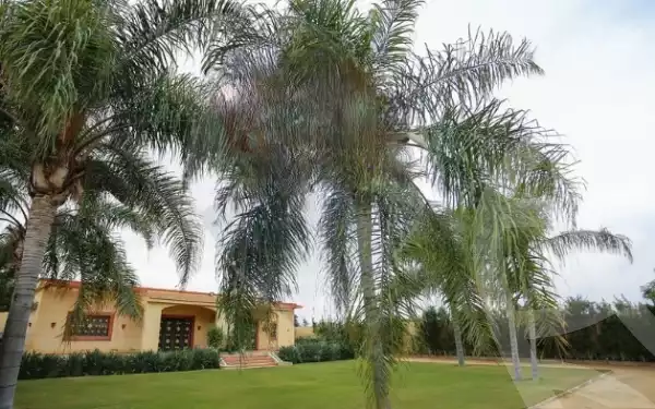 https://aqarmap.com.eg/en/listing/5456647-for-sale-alexandria-king-maryot-compounds-king-heights-taba