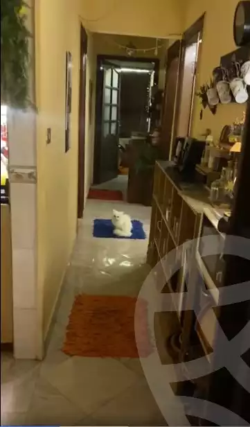 https://aqarmap.com.eg/en/listing/5456886-for-sale-cairo-hadayek-el-koba-hamamat-el-koba