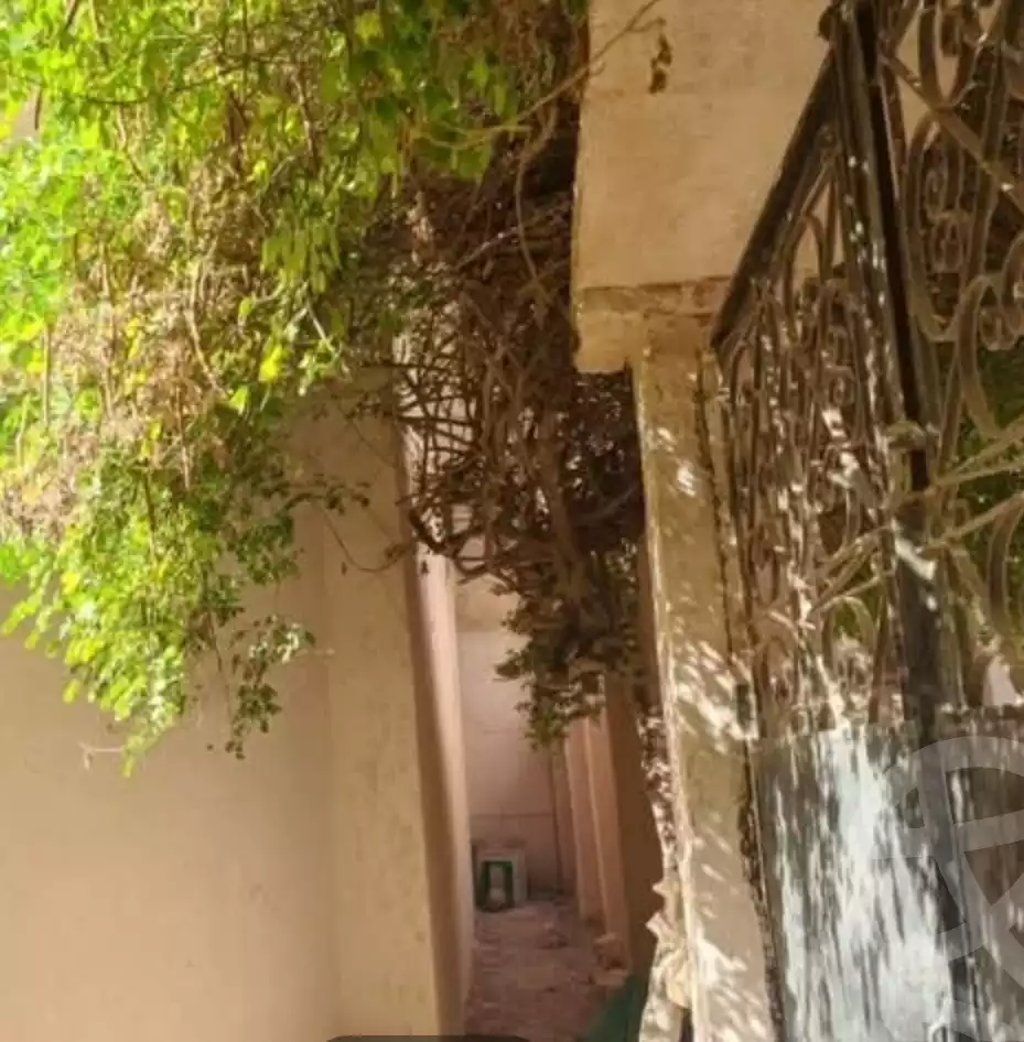 https://aqarmap.com.eg/en/listing/5458407-for-sale-alexandria-l-jmy-bw-ywsf