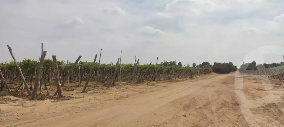https://aqarmap.com.eg/en/listing/5460796-for-sale-beheira-wadi-el-natrun