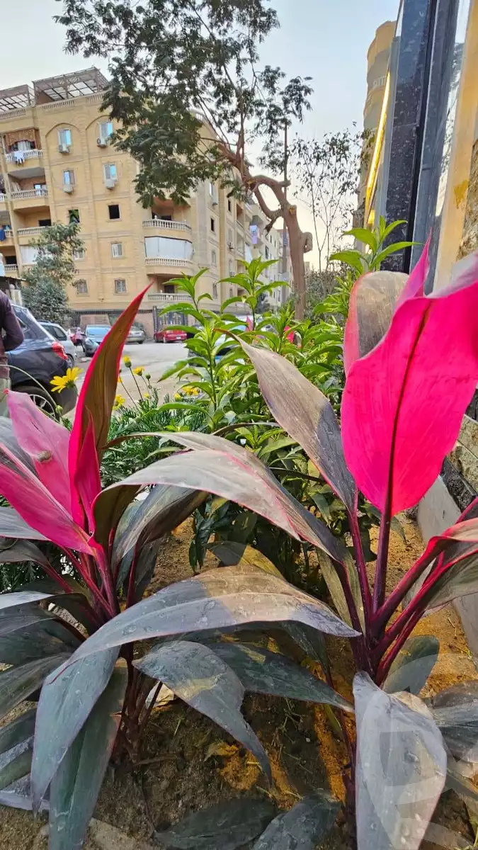 https://aqarmap.com.eg/ar/listing/5461818-for-sale-cairo-hadayek-el-ahram-lmntqh-l
