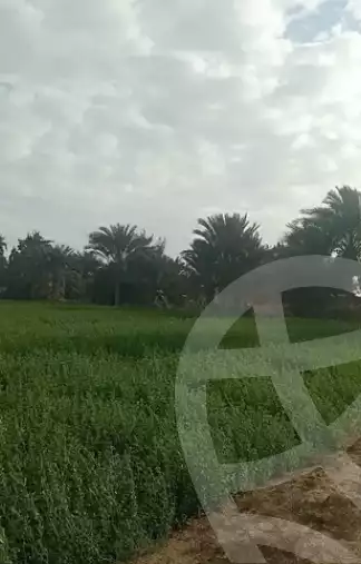 https://aqarmap.com.eg/en/listing/5462115-for-sale-el-fayoum-tamiya