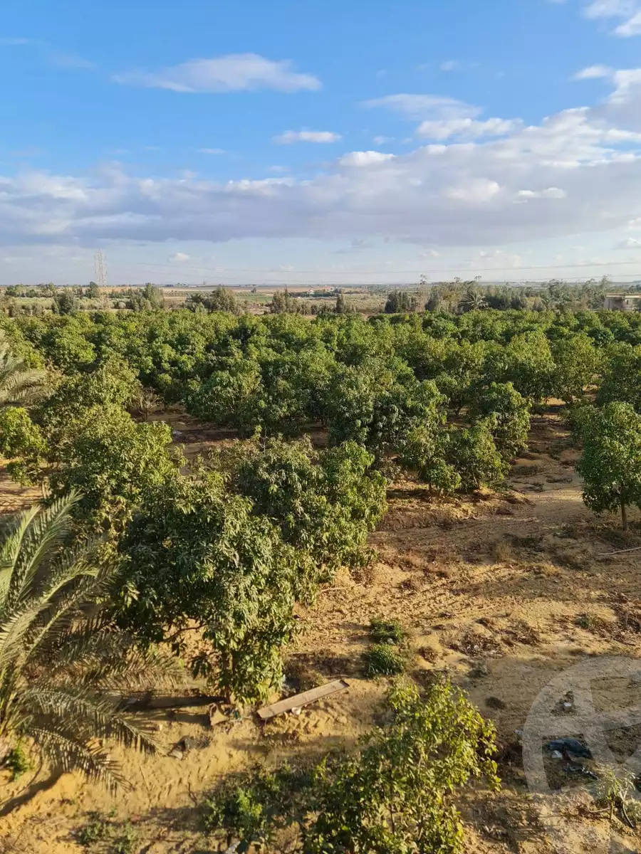 https://aqarmap.com.eg/en/listing/5466519-for-sale-alexandria-cairo-alexandria-desert-road