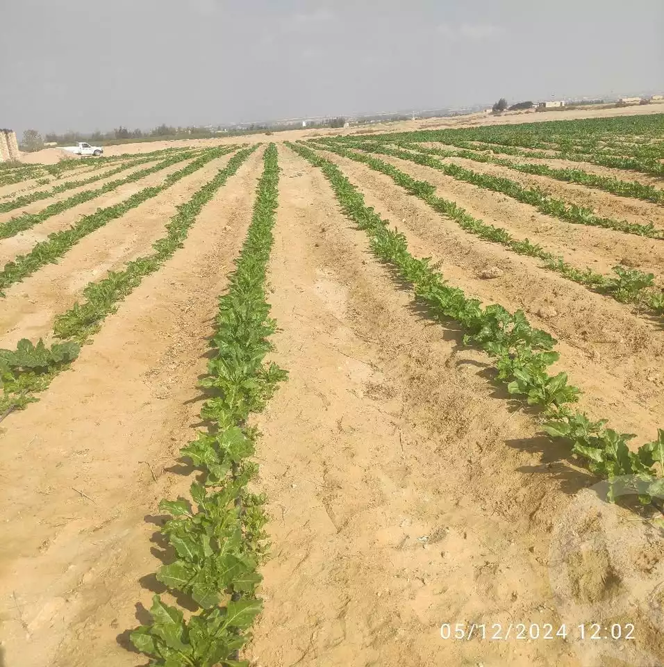 https://aqarmap.com.eg/en/listing/5466544-for-sale-beheira-wadi-el-natrun