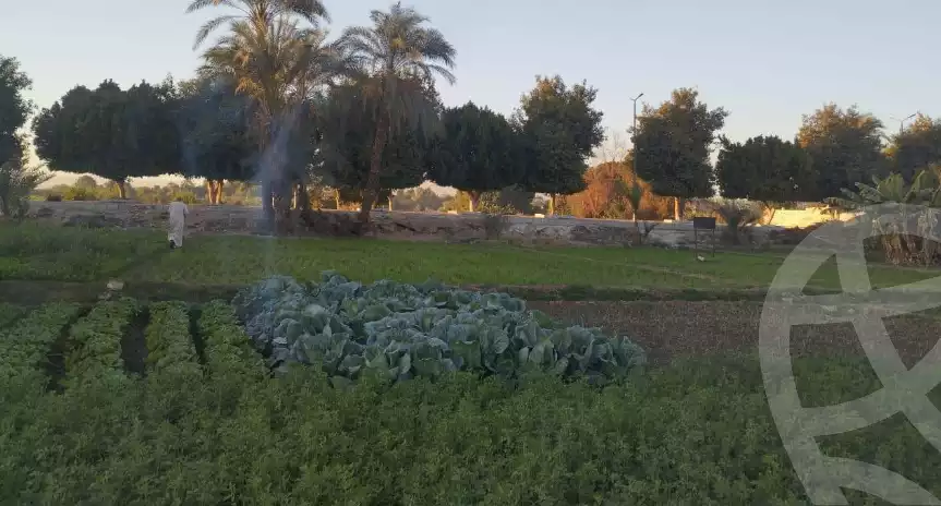 https://aqarmap.com.eg/en/listing/5477504-for-sale-luxor-luxor-city