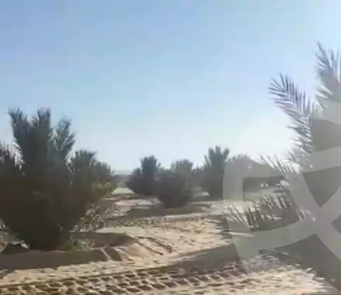 https://aqarmap.com.eg/en/listing/5482451-for-sale-new-valley-farafra