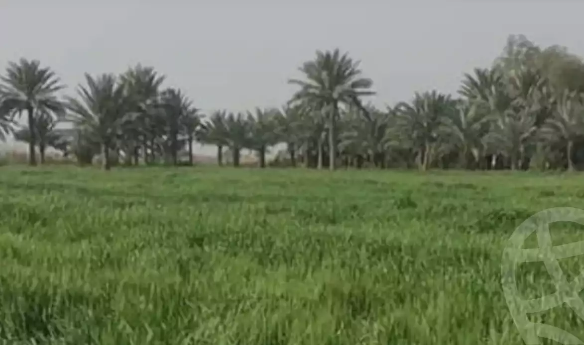 https://aqarmap.com.eg/ar/listing/5483414-for-sale-gharbia-el-mahallah-el-kubra-qaret-bshbesh