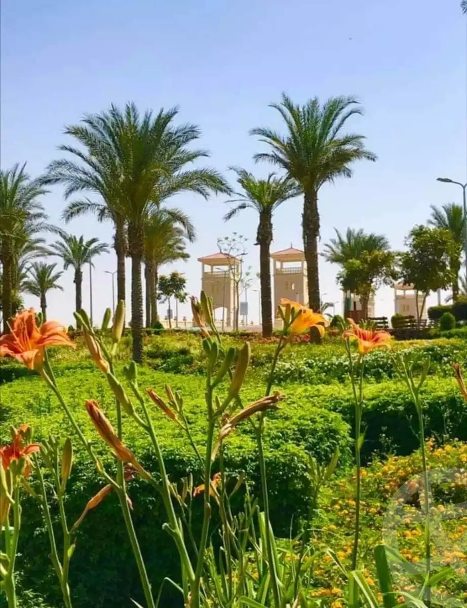 https://aqarmap.com.eg/en/listing/5529861-for-sale-cairo-el-shorouk-mostakbal-city
