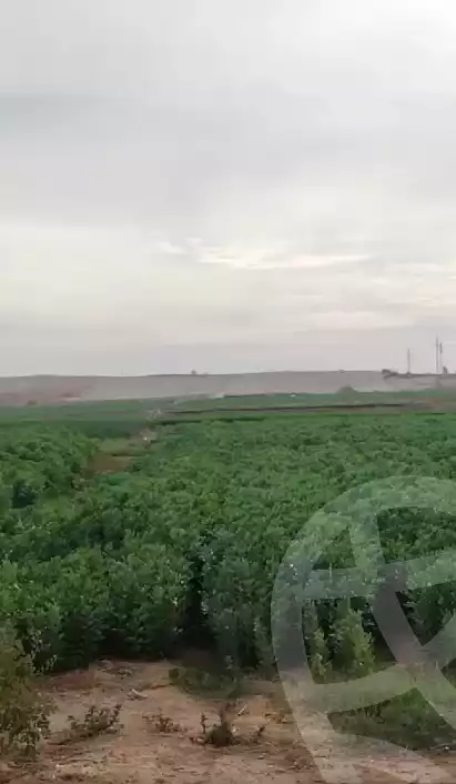 https://aqarmap.com.eg/ar/listing/5535932-for-sale-asyut-manfalut