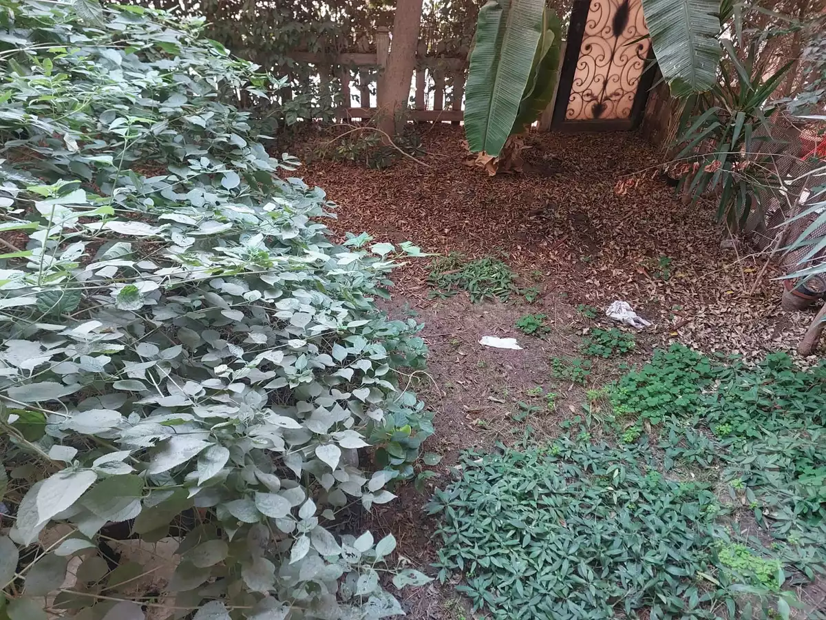 https://aqarmap.com.eg/en/listing/5540081-for-sale-cairo-new-cairo-lrhb-city-phase-1-abbas-el-akad-st