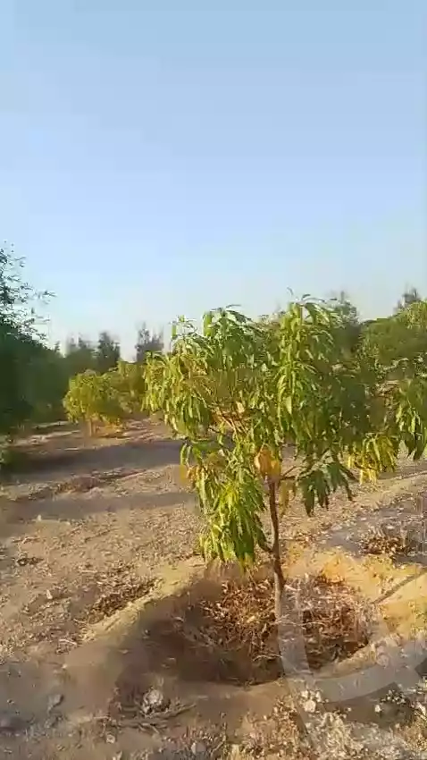 https://aqarmap.com.eg/en/listing/5540948-for-sale-suez-suez-city-suez-city