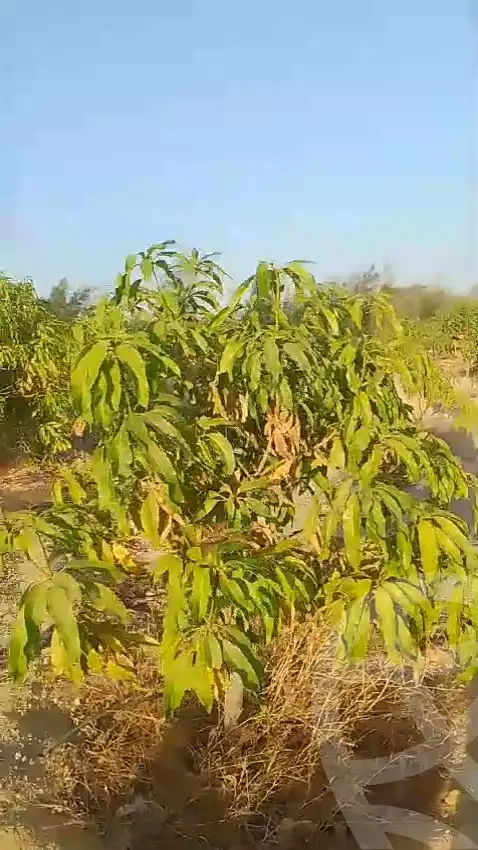 https://aqarmap.com.eg/en/listing/5540948-for-sale-suez-suez-city-suez-city