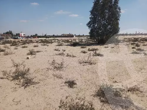 https://aqarmap.com.eg/ar/listing/5541861-for-sale-ismailia-ismailia-city