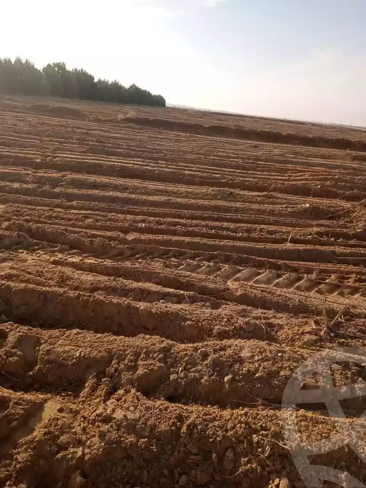 https://aqarmap.com.eg/ar/listing/5559322-for-sale-el-minia-beni-mazar