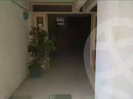 https://aqarmap.com.eg/ar/listing/5565931-for-rent-alexandria-lm-mwr-lm-mwr-lshty-deif-waly-st