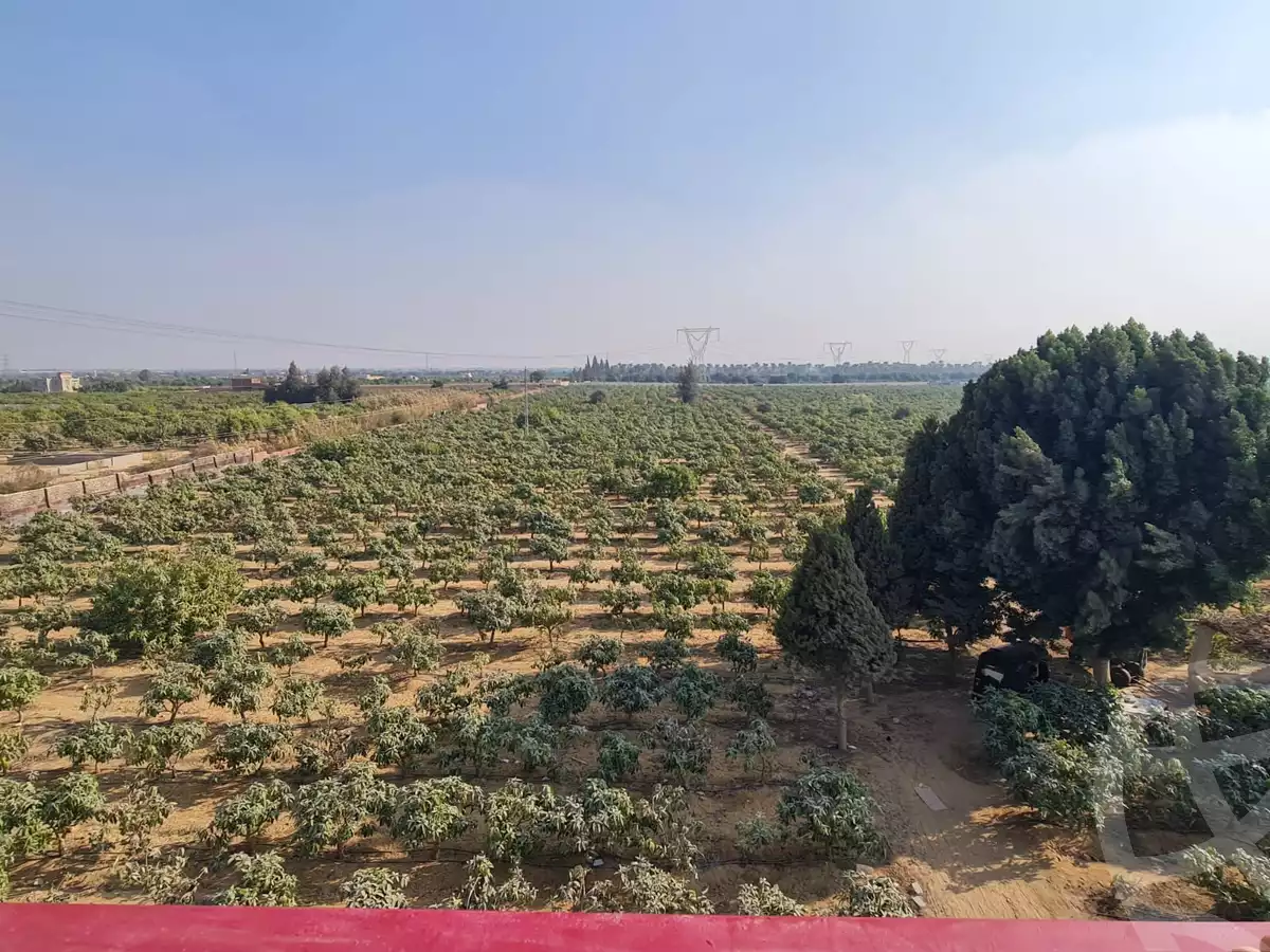 https://aqarmap.com.eg/ar/listing/5571955-for-sale-ismailia-tall-el-kebir
