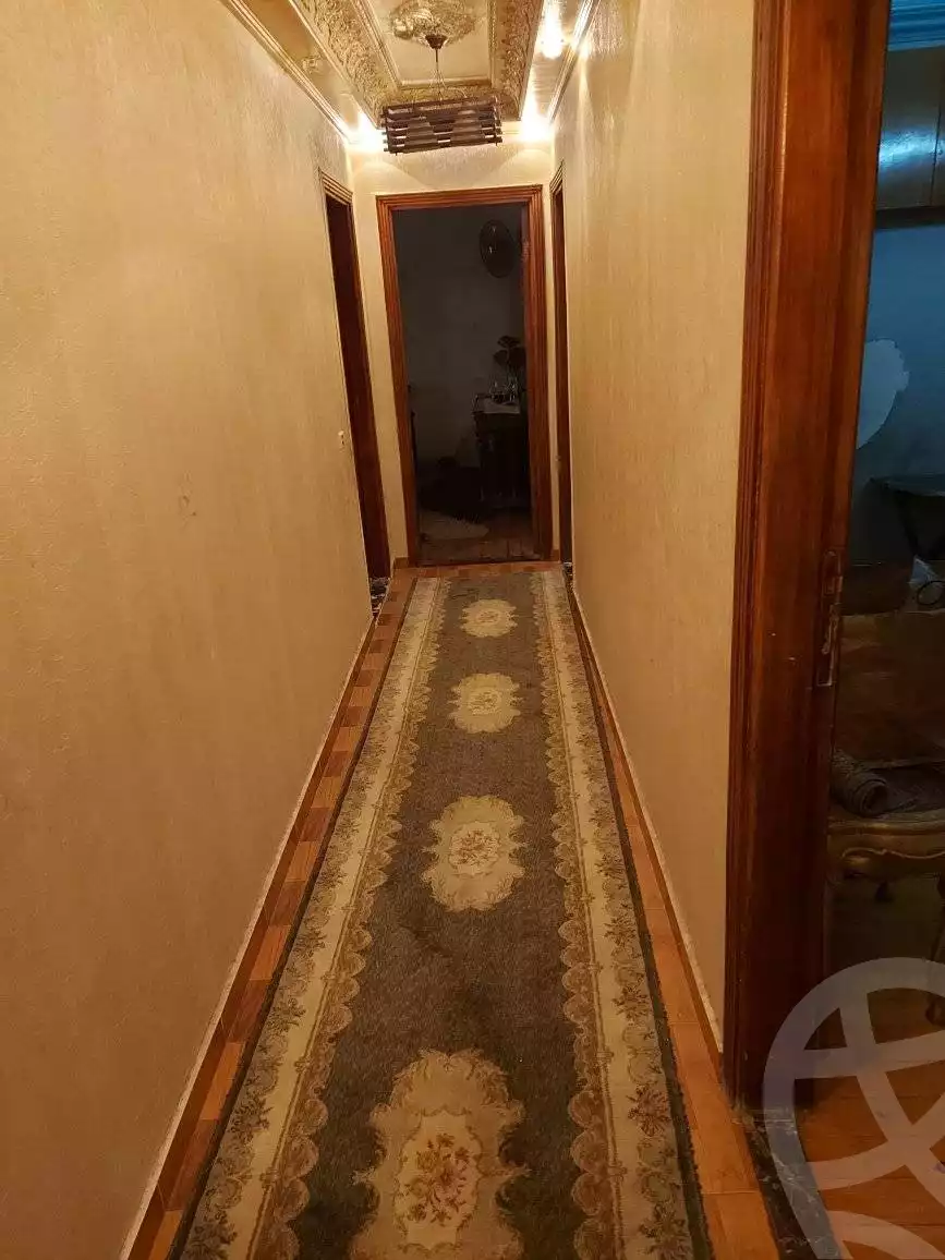 https://aqarmap.com.eg/en/listing/5576796-for-rent-alexandria-glim-shr-bw-qyr-tryq-lhry