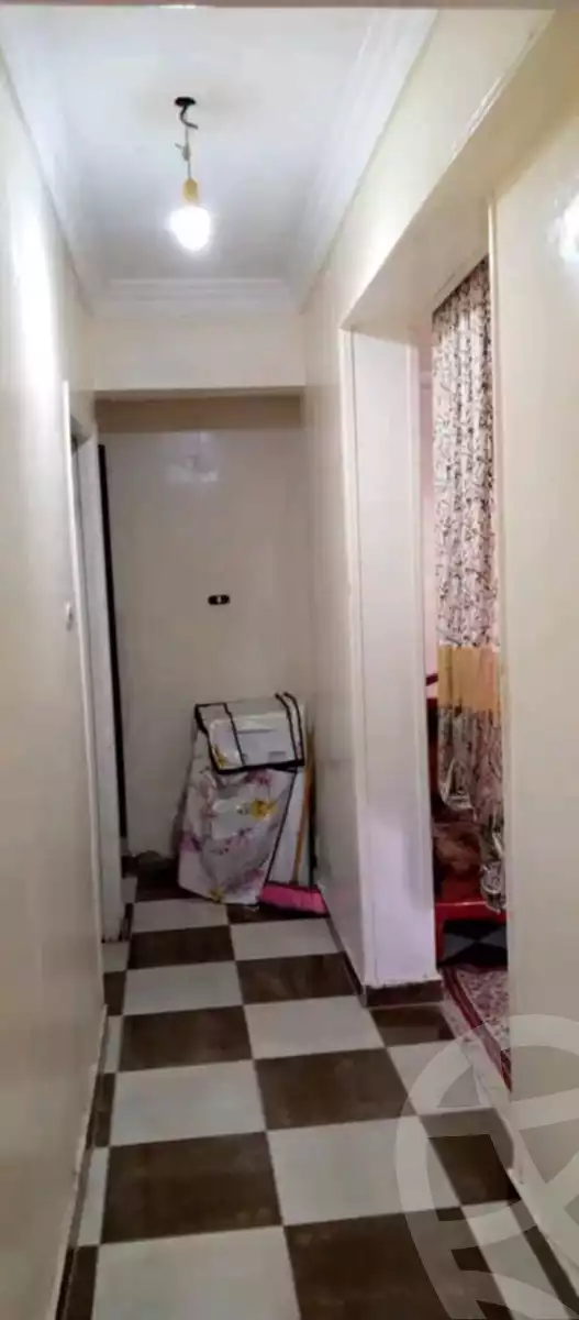 https://aqarmap.com.eg/ar/listing/5581691-for-rent-alexandria-miami-iskandar-ibrahim-st