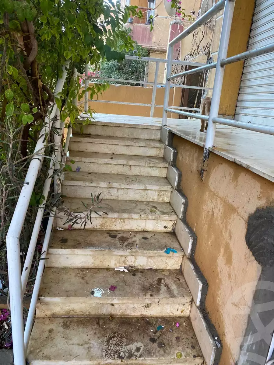 https://aqarmap.com.eg/en/listing/5587553-for-rent-cairo-mokattam-el-hadabah-el-wosta-6th-zone