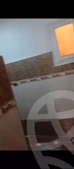 https://aqarmap.com.eg/en/listing/5587617-for-rent-asyut-asyut-city