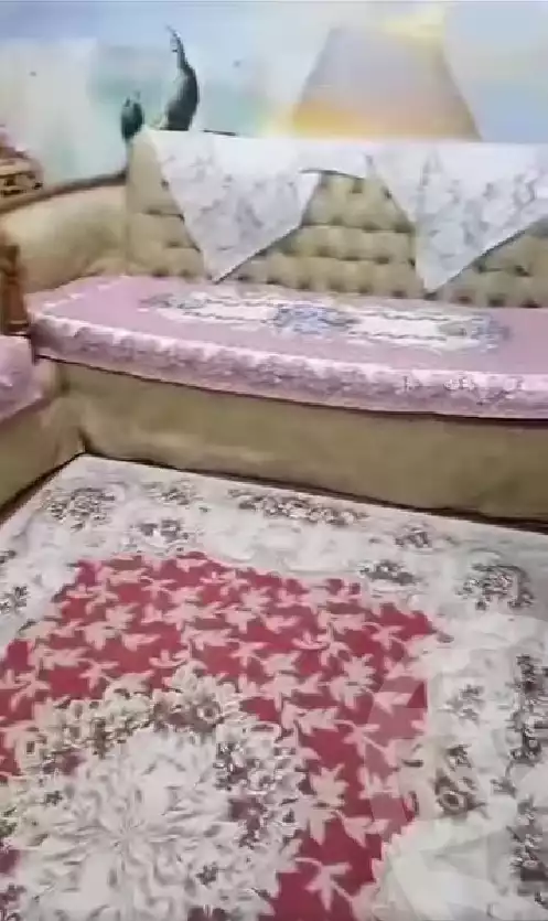 https://aqarmap.com.eg/en/listing/5595202-for-rent-cairo-el-zaytun-hlmy-lzytwn