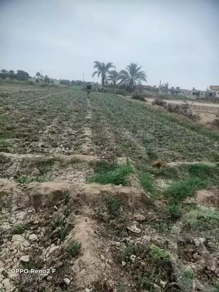 https://aqarmap.com.eg/en/listing/5906771-for-sale-el-fayoum-fayoum-fayoum-city