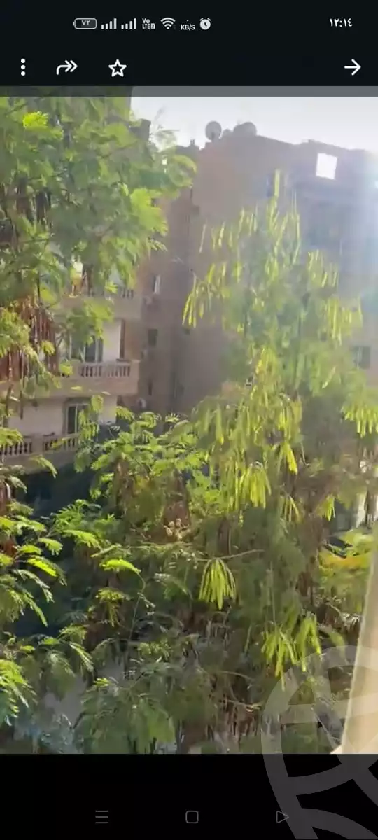 https://aqarmap.com.eg/en/listing/5602664-for-rent-cairo-el-maadi-mdyn-lm-rj-corniche-st