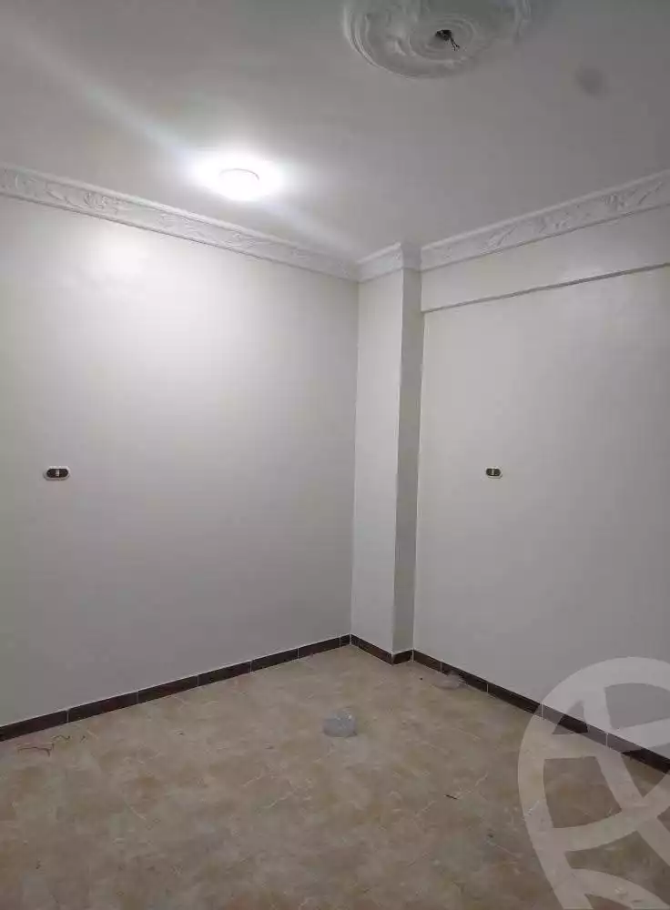 https://aqarmap.com.eg/en/listing/5605059-for-rent-sharqia-zagazig-zagazig-city-ghasham-rd