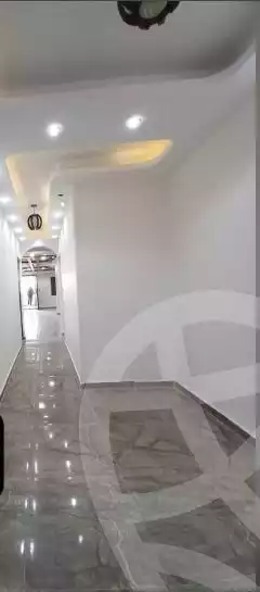 https://aqarmap.com.eg/en/listing/5909153-for-sale-alexandria-l-jmy-lbytsh-mohamed-el-fardi-st