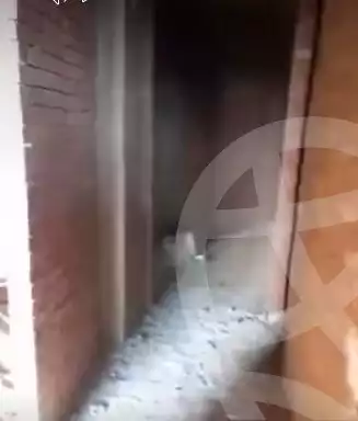 https://aqarmap.com.eg/en/listing/5914125-for-sale-qalyubia-el-khsos-izbat-el-nakhl