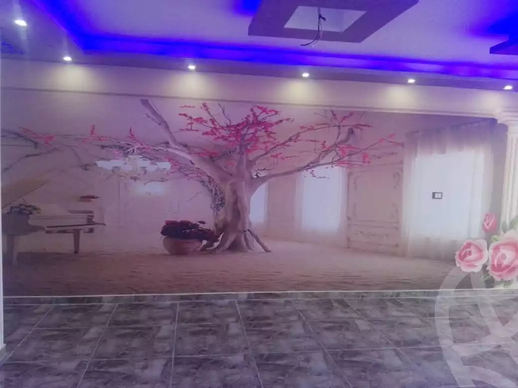 https://aqarmap.com.eg/en/listing/5913595-for-sale-alexandria-l-jmy-lbytsh-shahr-al-assal-st