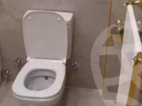 https://aqarmap.com.eg/en/listing/5609278-for-sale-cairo-al-zamalek-kwrnysh-lnyl-lzmlk