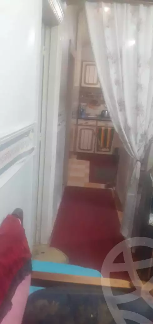 https://aqarmap.com.eg/en/listing/5907190-for-sale-alexandria-lsywf