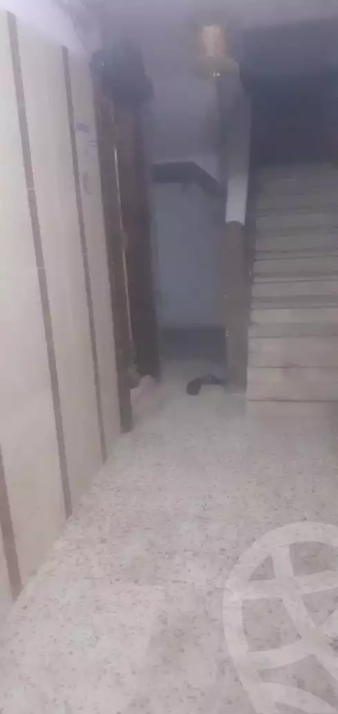 https://aqarmap.com.eg/en/listing/5907190-for-sale-alexandria-lsywf