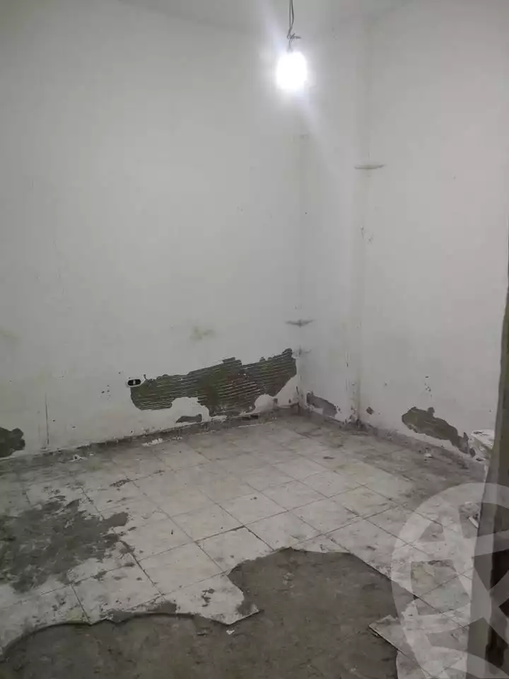 https://aqarmap.com.eg/en/listing/5615020-for-rent-alexandria-l-jmy-lbytsh