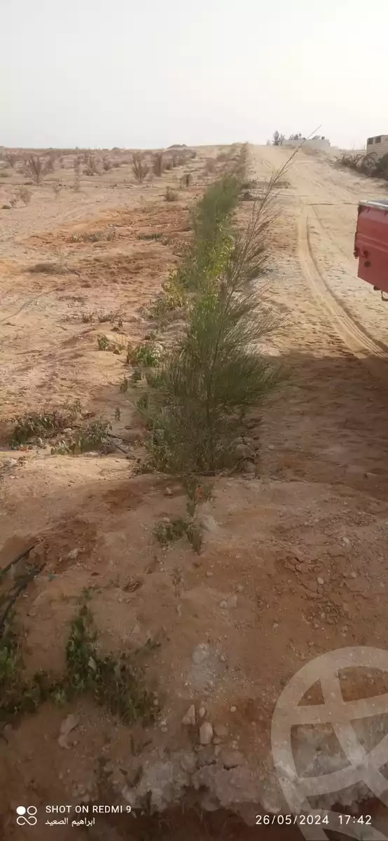 https://aqarmap.com.eg/en/listing/5615535-for-sale-beheira-wadi-el-natrun-bany-salama