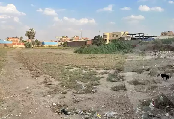 https://aqarmap.com.eg/en/listing/5618462-for-sale-cairo-el-mansuriyyah