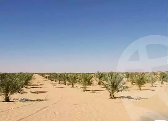 https://aqarmap.com.eg/en/listing/5619574-for-sale-marsa-matruh-siwa-oasis-wahet-siwaa-city