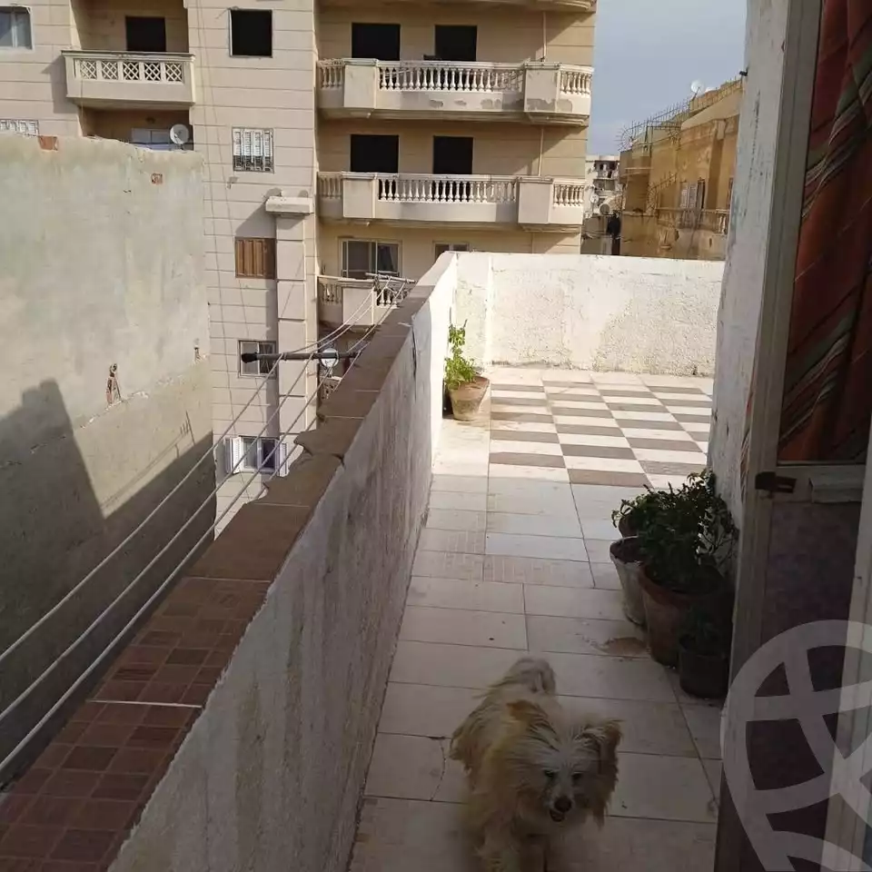 https://aqarmap.com.eg/en/listing/5625308-for-sale-alexandria-mntq-fr-y-blskndry-el-kilo-21