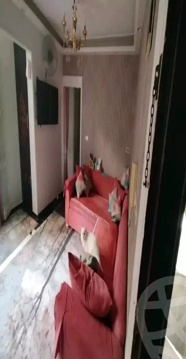 https://aqarmap.com.eg/en/listing/5626021-for-sale-alexandria-sidi-gaber