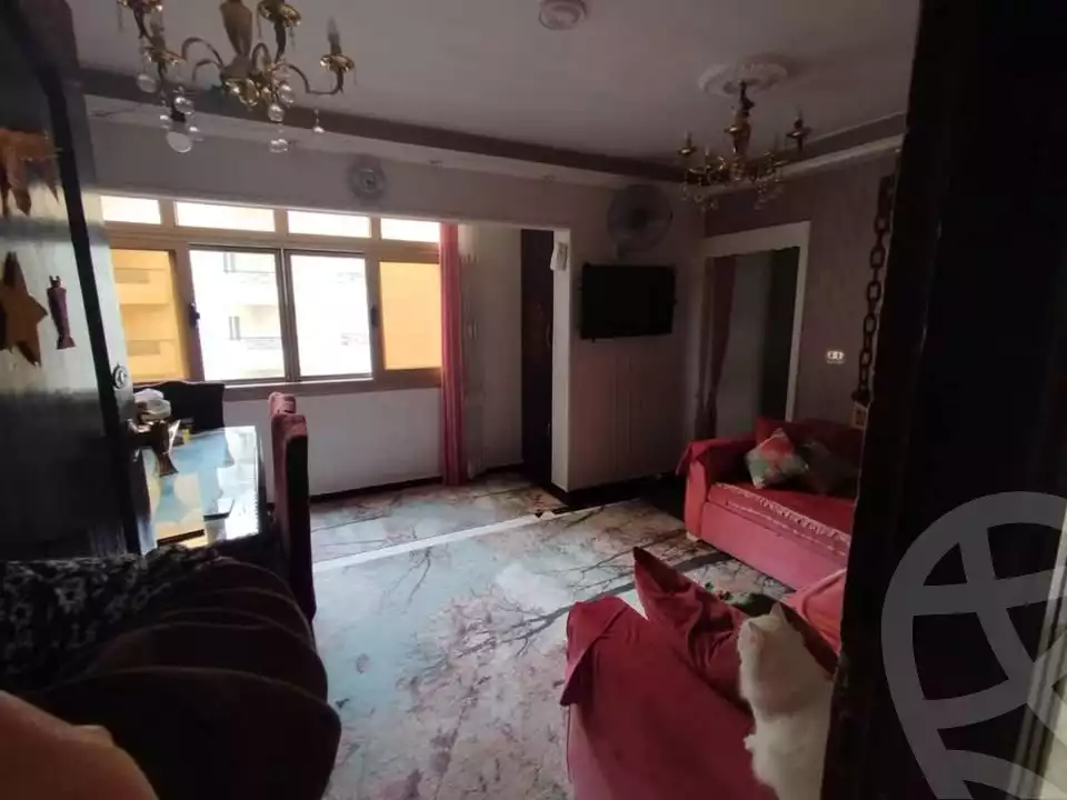 https://aqarmap.com.eg/en/listing/5627181-for-sale-alexandria-sidi-gaber