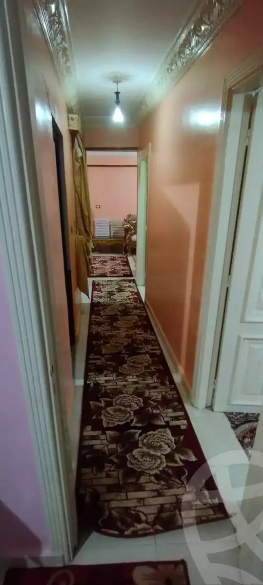 https://aqarmap.com.eg/en/listing/5629496-for-sale-alexandria-l-jmy-lbytsh-el-hanafeya-st