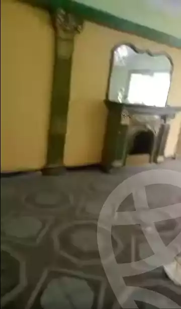 https://aqarmap.com.eg/en/listing/5642809-for-sale-cairo-el-sayyeda-zeinab