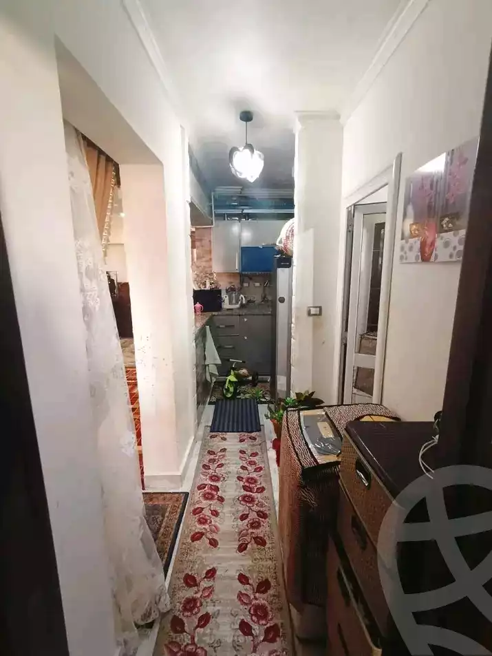 https://aqarmap.com.eg/en/listing/5643677-for-sale-alexandria-l-jmy-shataa-el-nakheel-raslan-st