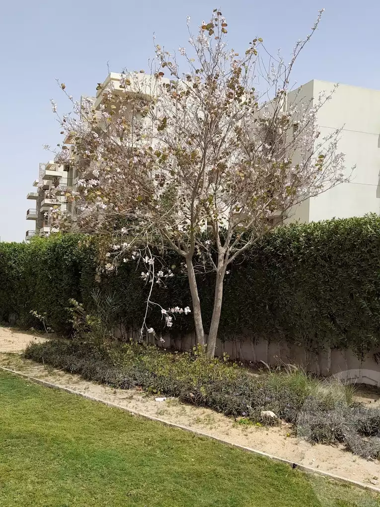 https://aqarmap.com.eg/en/listing/5645236-for-rent-cairo-el-sheikh-zayed-city-compounds-dh-drys