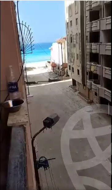 https://aqarmap.com.eg/en/listing/5648510-for-sale-alexandria-l-jmy-lbytsh-street-8