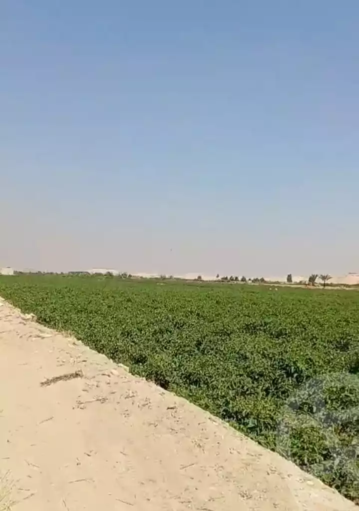 https://aqarmap.com.eg/en/listing/5654264-for-sale-alexandria-cairo-alexandria-desert-road