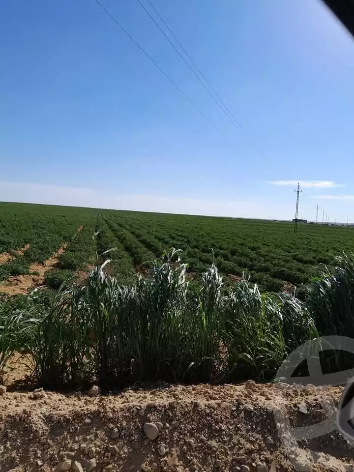 https://aqarmap.com.eg/en/listing/5654264-for-sale-alexandria-cairo-alexandria-desert-road