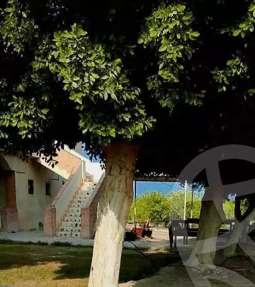 https://aqarmap.com.eg/en/listing/5654299-for-sale-alexandria-cairo-alexandria-desert-road